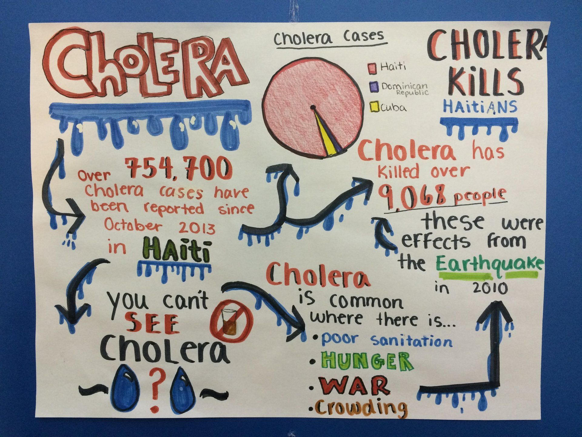 Hearts for Haiti Infographic