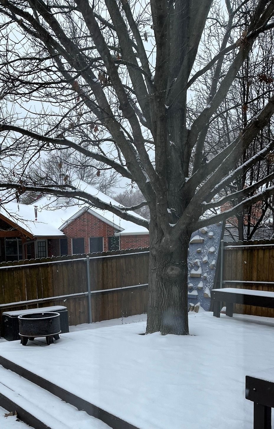 A snowy backyard with a tree and a fire pit