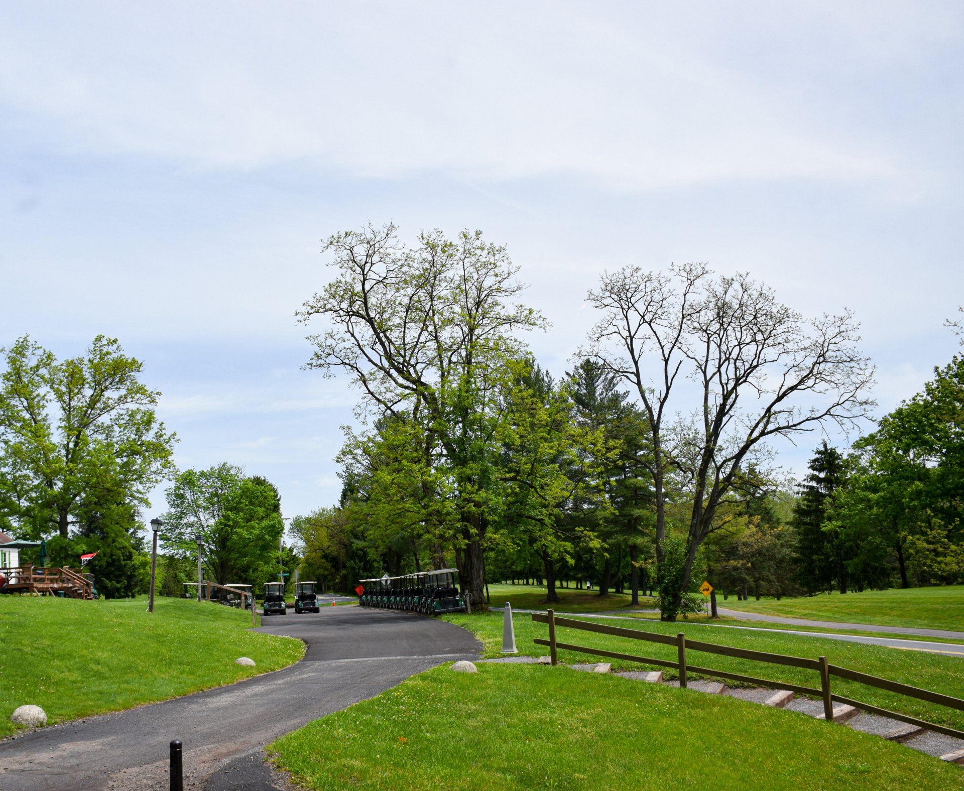 A golf cart is driving down a path in a park