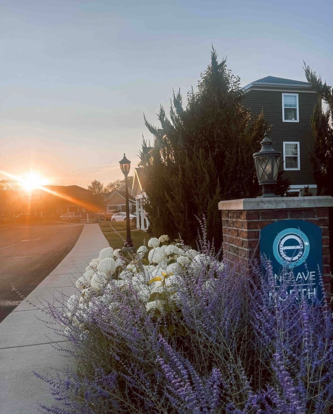 Enclave sign at sunrise with purple flowers in bloom