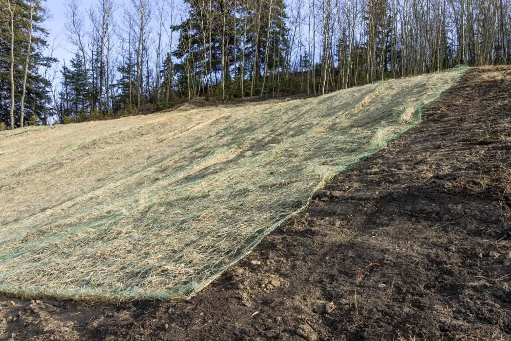Green erosion control netting covers a hillside, protecting newly exposed soil.