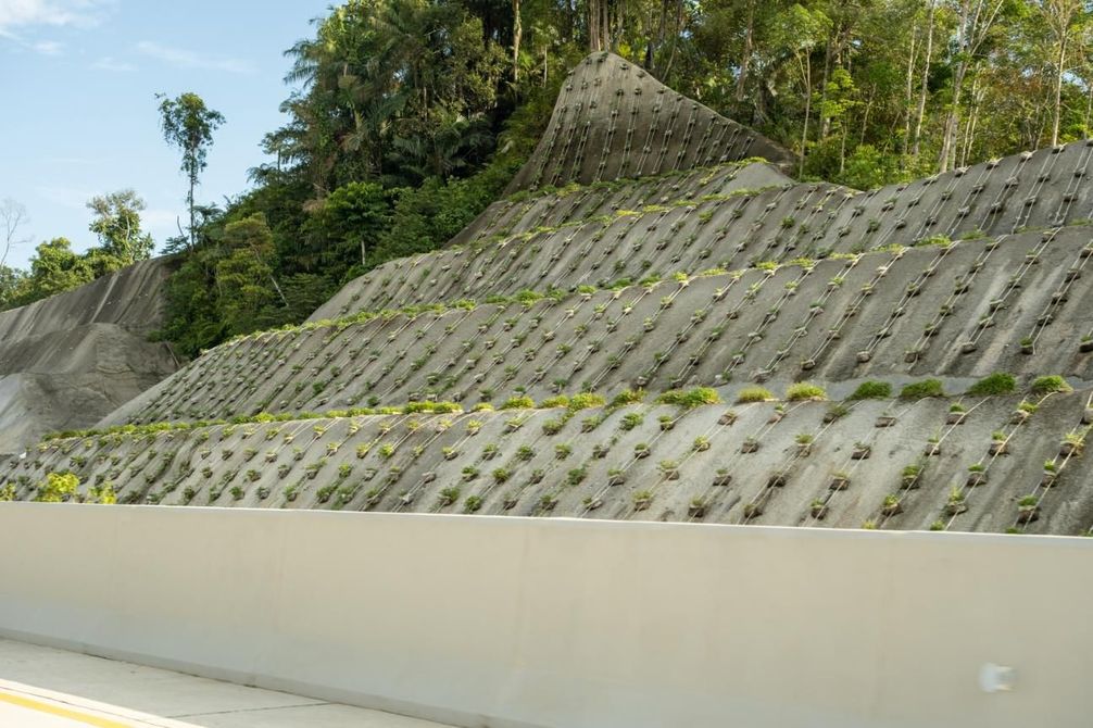 A concrete retaining wall on a hillside with planted vegetation, alongside a road.