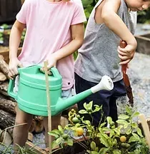 A boy and a girl are watering plants in a garden with a watering can.