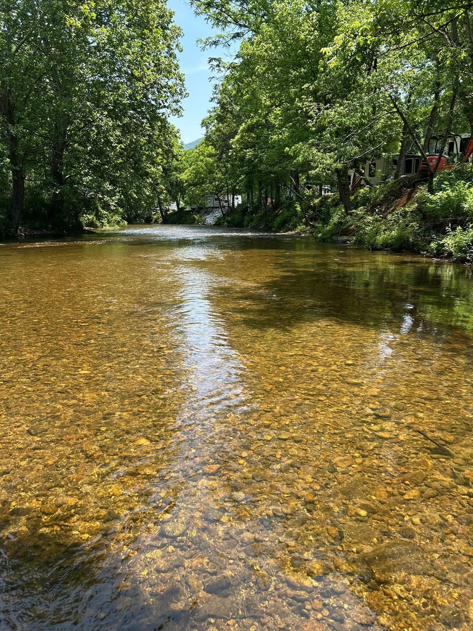 Clear, shallow stream with visible rocks, surrounded by green trees under a blue sky.