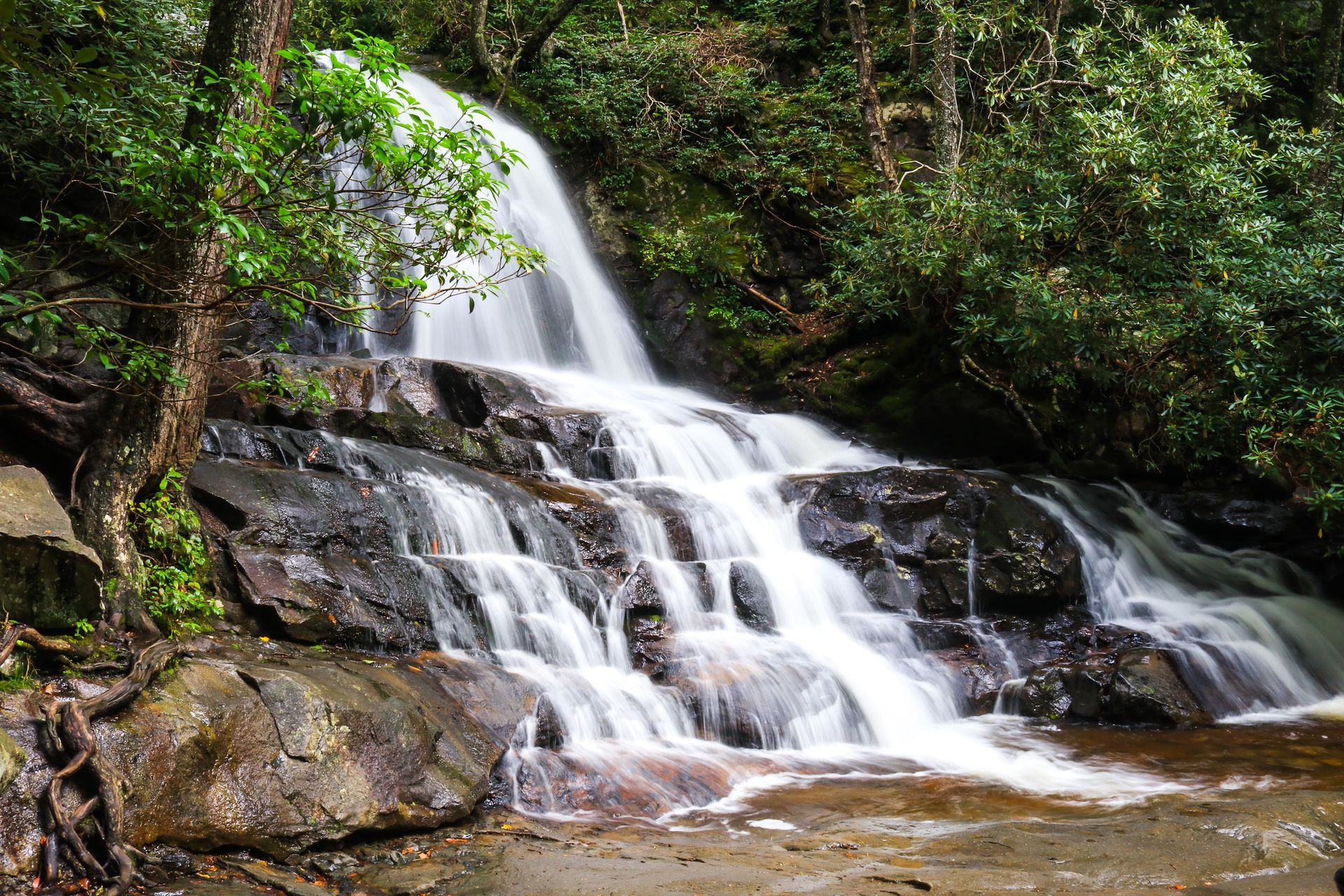 Waterfall cascading down dark rocks into a pool, surrounded by lush green foliage.