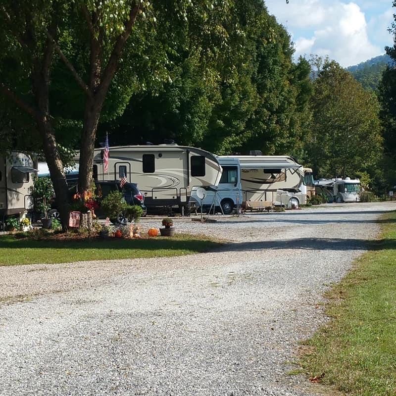 RV campground with gravel road, trees, and parked campers.
