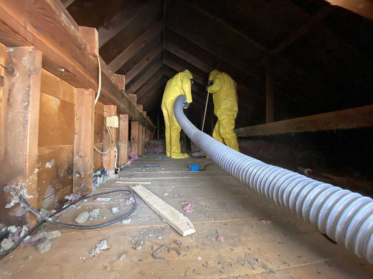 Two men in yellow suits are working in an attic with a hose.