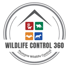 A logo for wildlife control 360 humane wildlife control