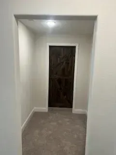 Hallway with light carpet and a dark wooden door at the end, framed by white walls.
