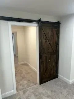 Barn door, dark wood, closed, mounted on black track, doorway to a room with light-colored walls and carpet.