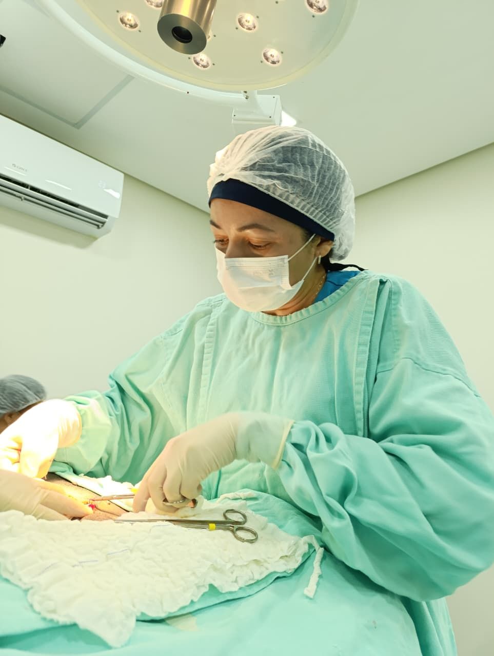 Consultório veterinário: mesa com computador, materiais médicos, pôster de anatomia felina e móveis brancos.