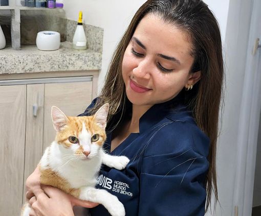 Mulher vestida de azul segurando um gato em um ambiente clínico. O gato é laranja e branco e olha para a frente.