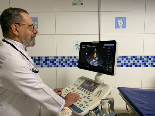 Dois profissionais veterinários realizam um ultrassom em um cachorro em uma clínica.