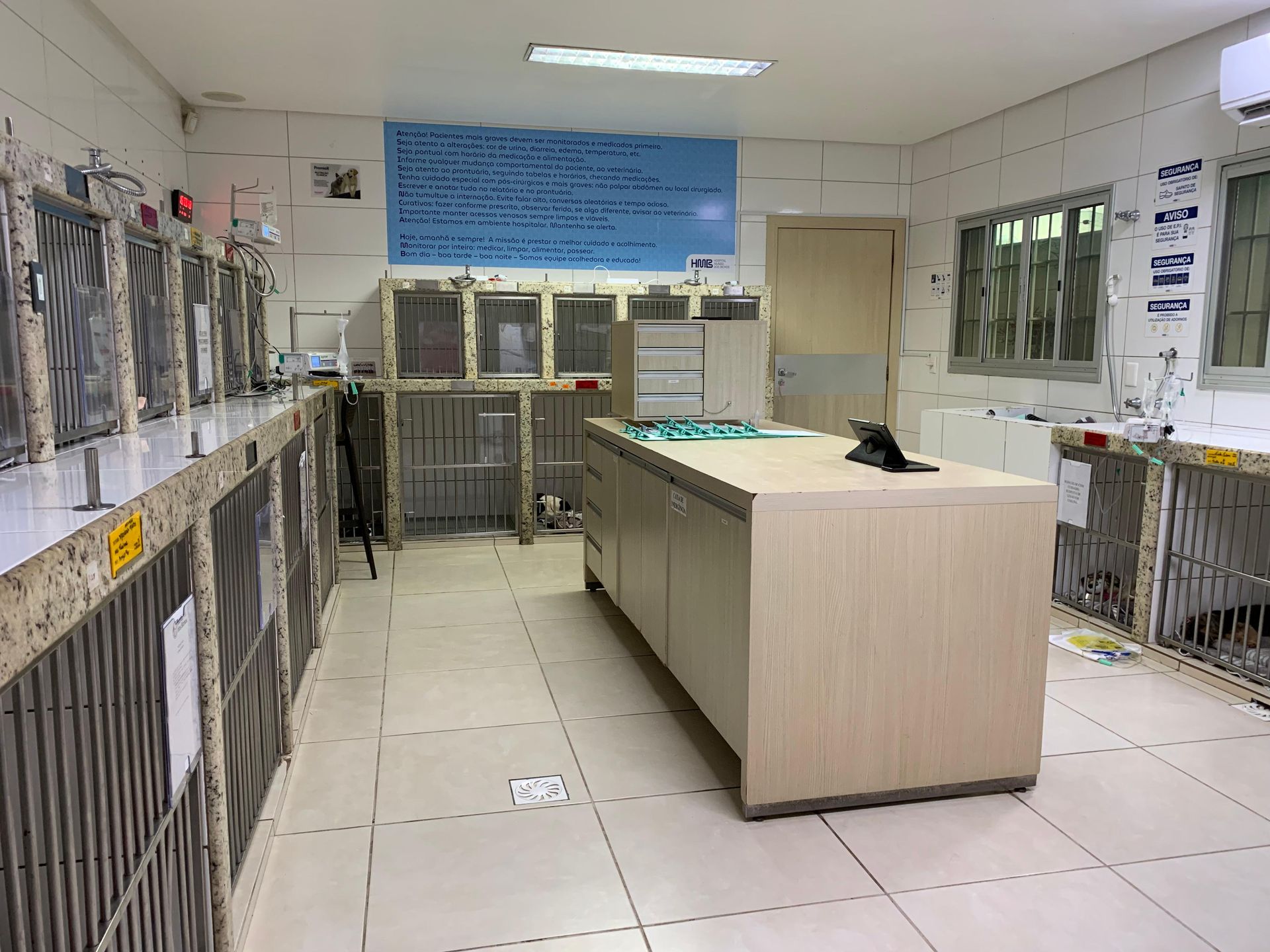 Veterinário examinando um cachorro pequeno e branco com manchas pretas em uma mesa de exame.
