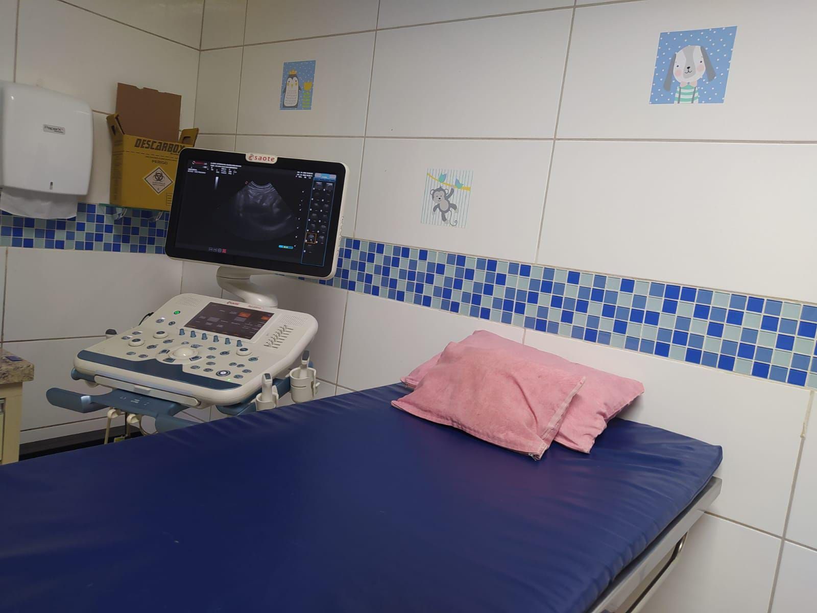 Consultório veterinário: mesa com computador, materiais médicos, pôster de anatomia felina e móveis brancos.