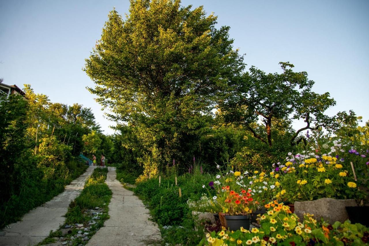 A path surrounded by trees and flowers leading to a house