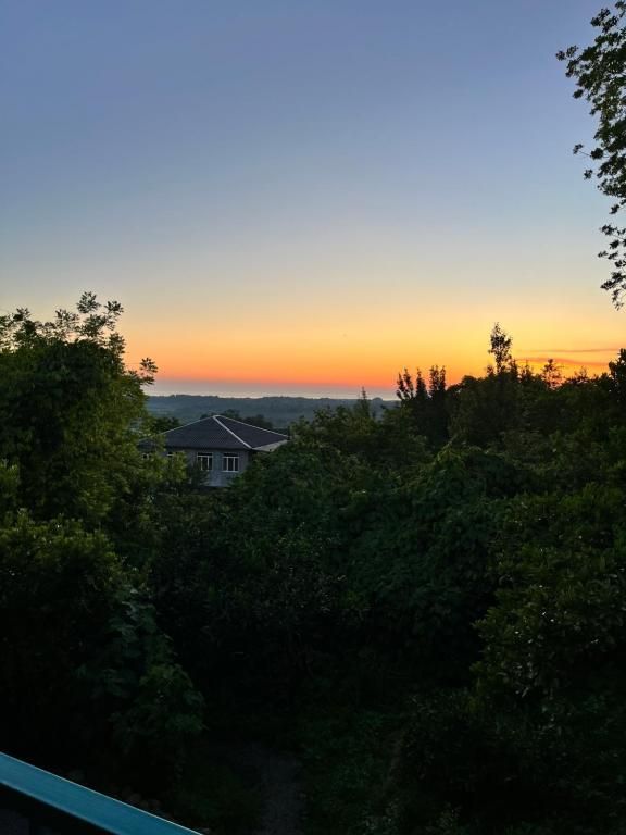 A sunset over a forest with a house in the distance