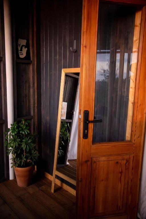 A wooden door with a mirror and a potted plant in front of it