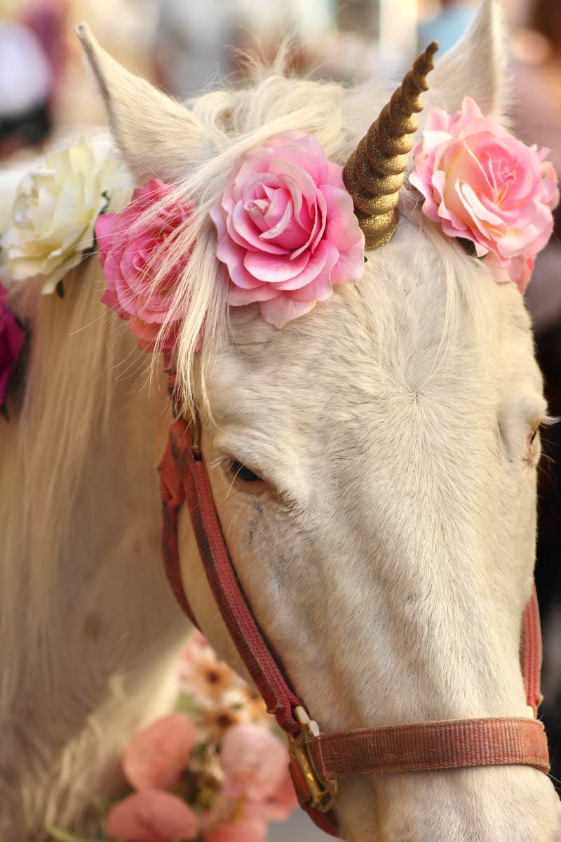 once upon a nail salon staff