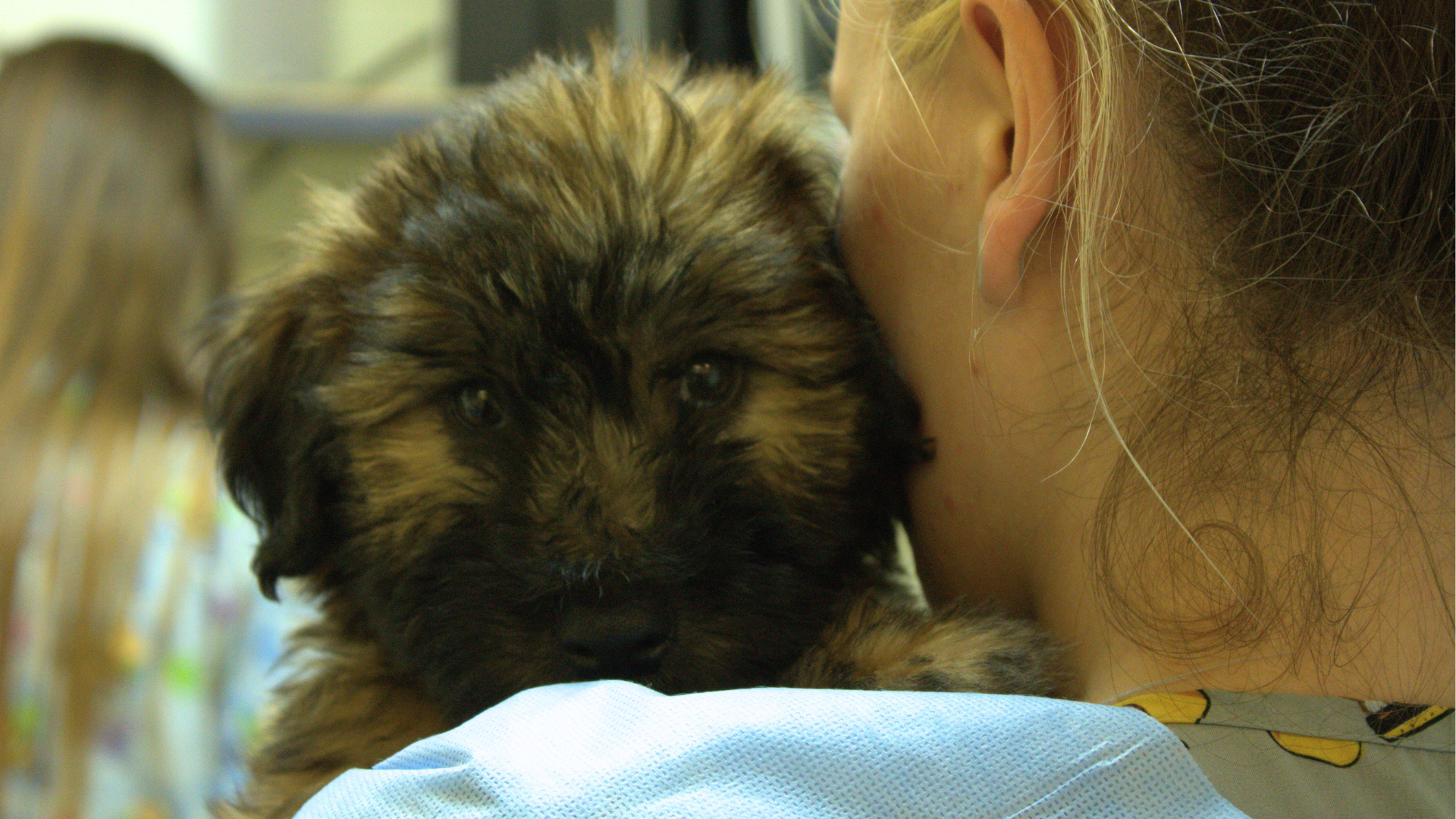 Yoder Case: The Ongoing Fight Against Puppy Mills