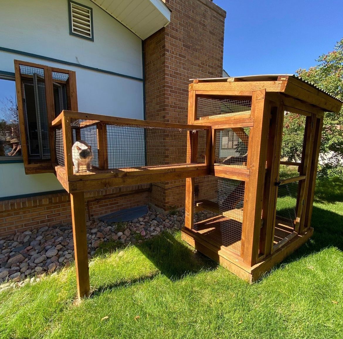 A cat inside a handmade catio