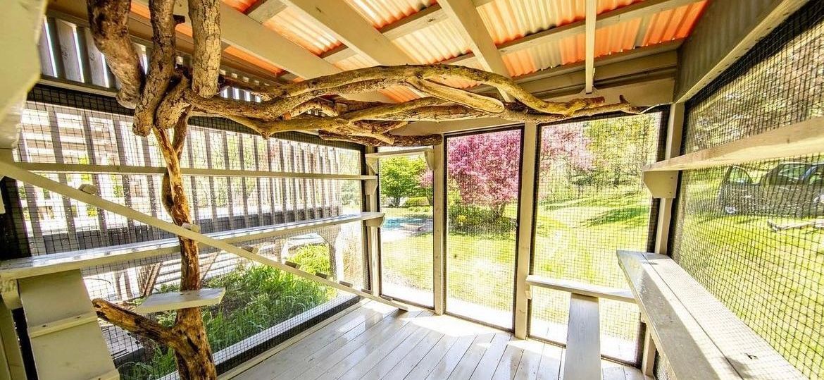 picture of an outdoor catio