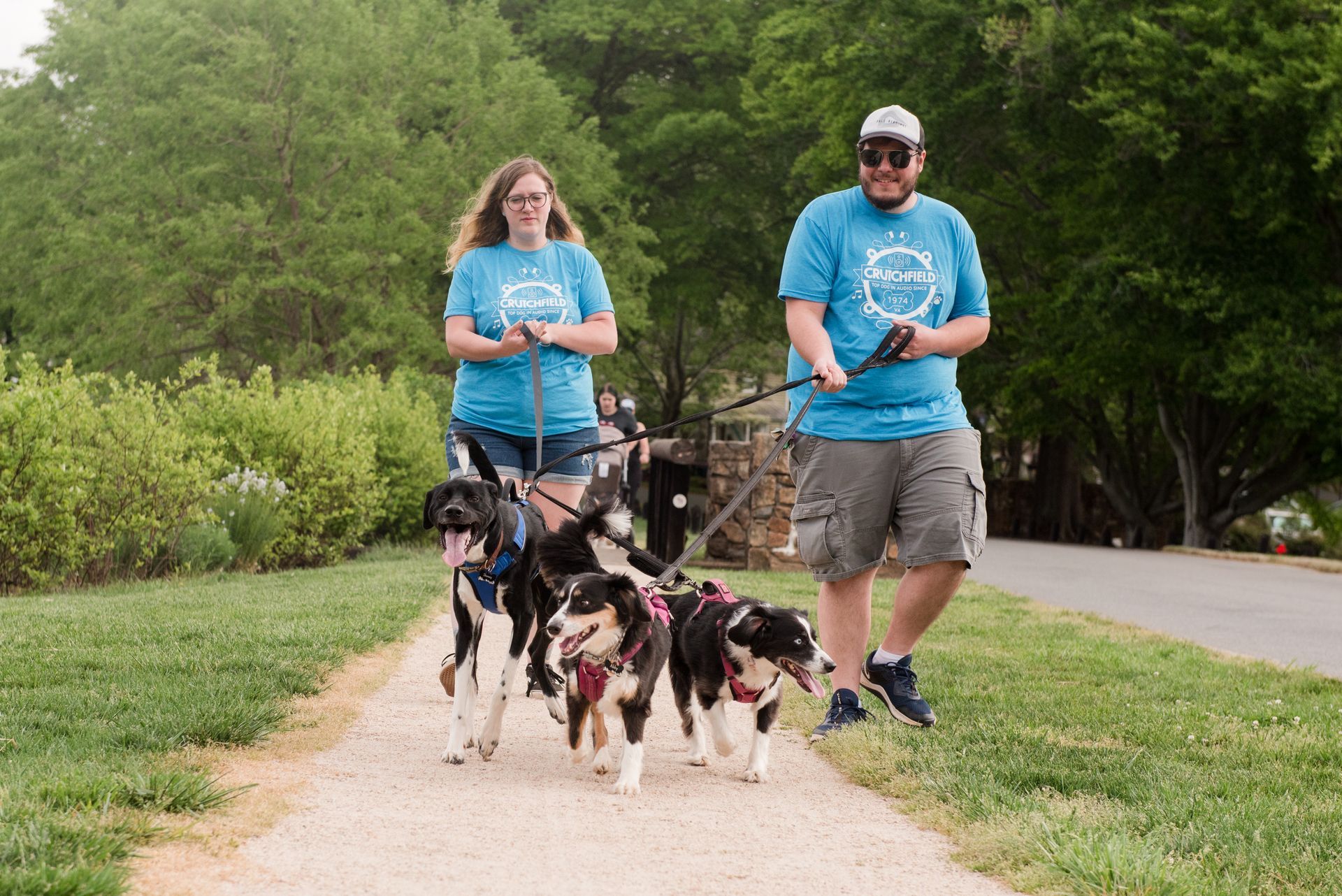 two people walking dogs at bow-WOW-walk