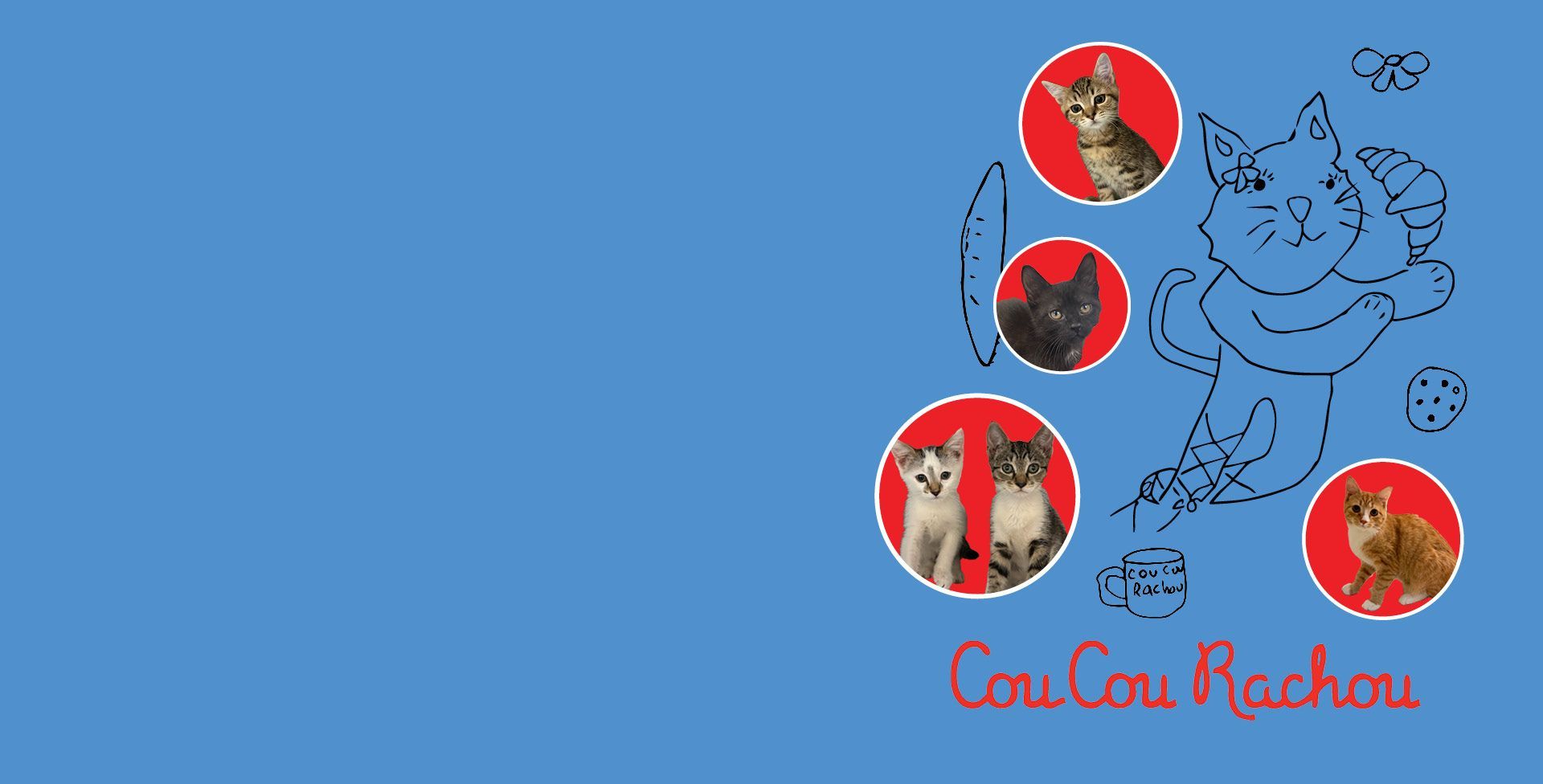 Croissants for Cats
