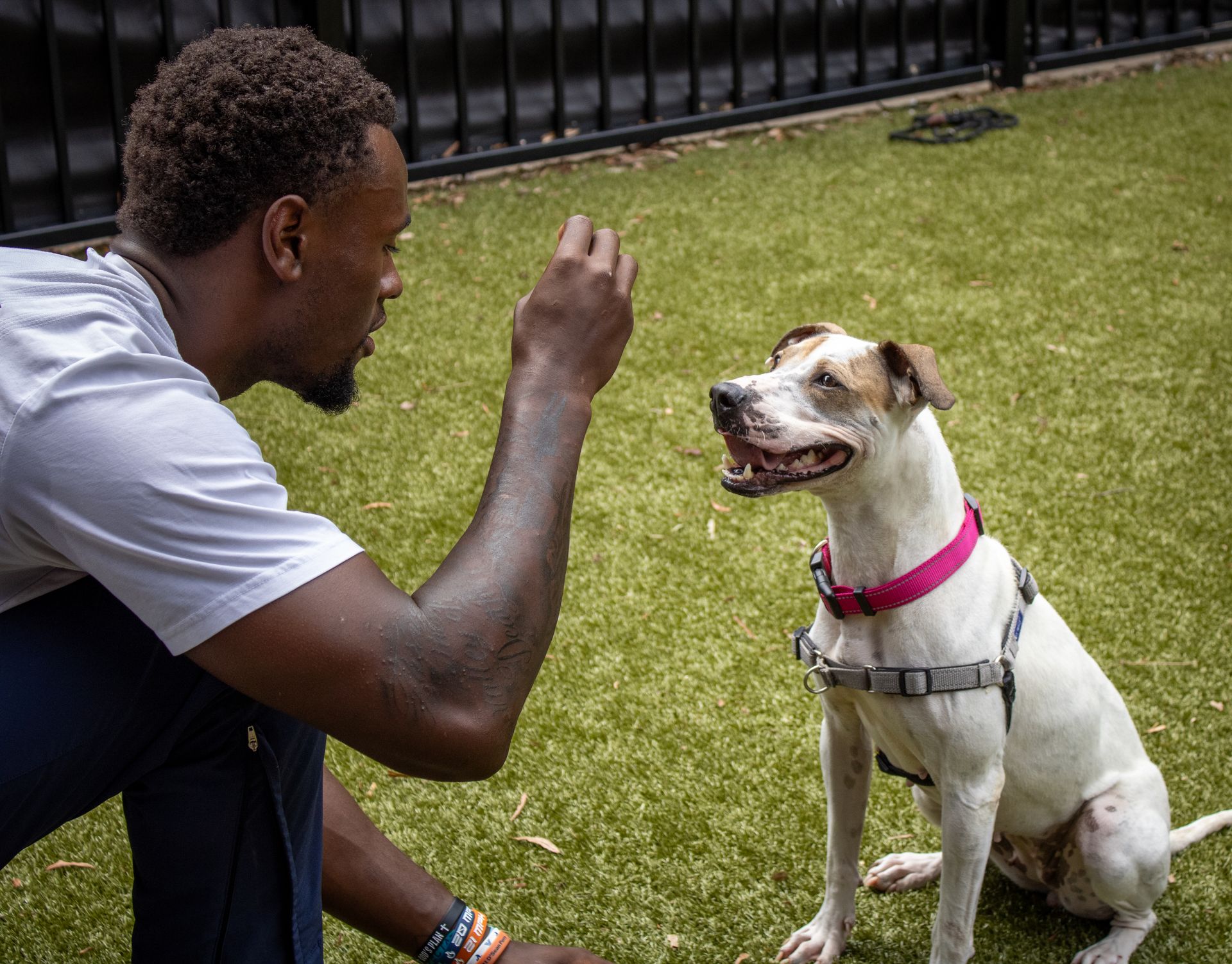 A man holds a treat up for a sitting dog.