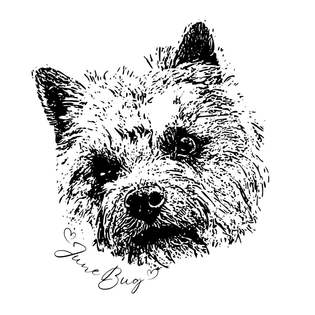 drawing of a cat