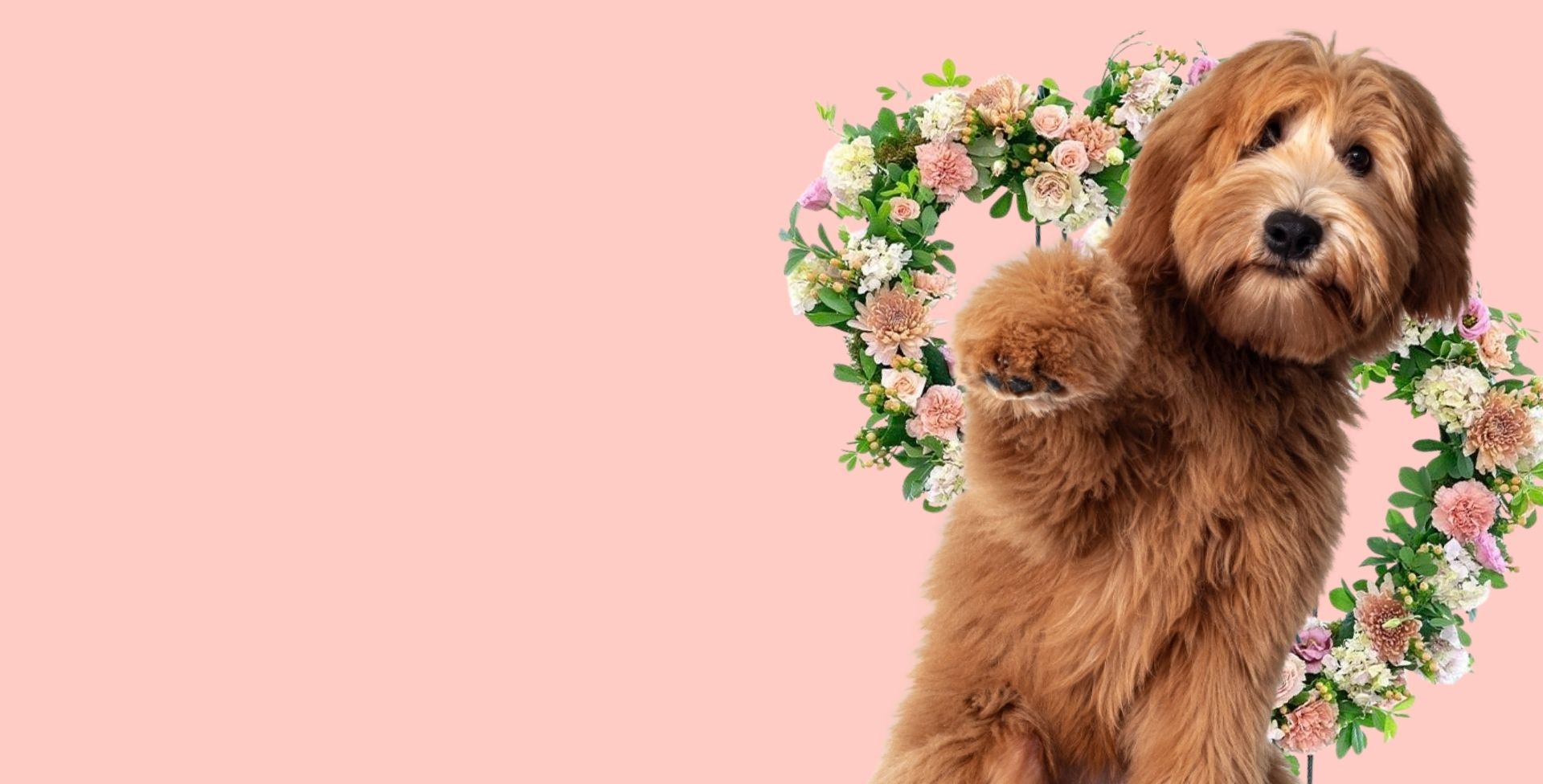 Dog against pink background and floral heart wreaths