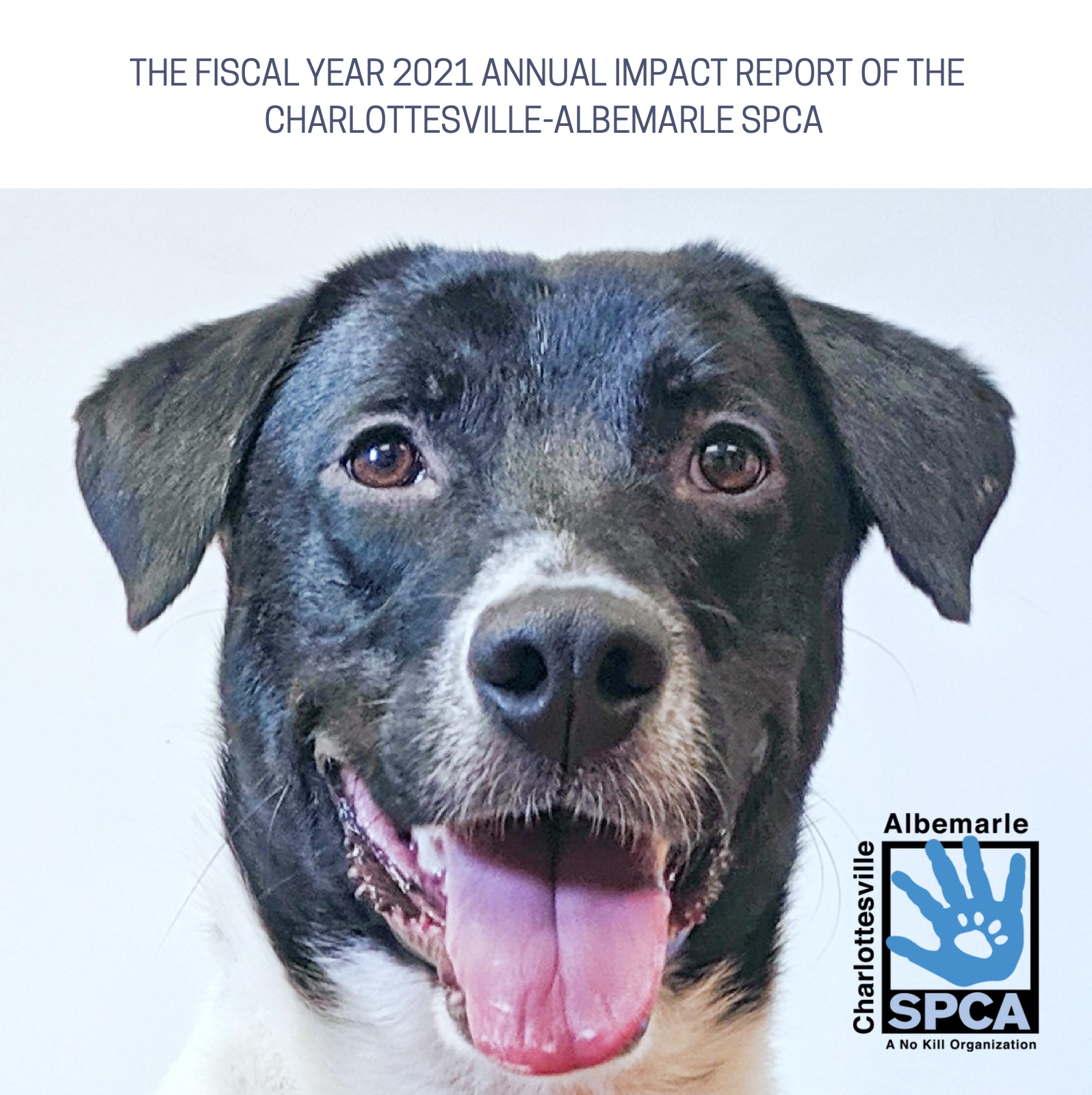 Cover of the 2021 Annual Report, featuring a black lab mix dog