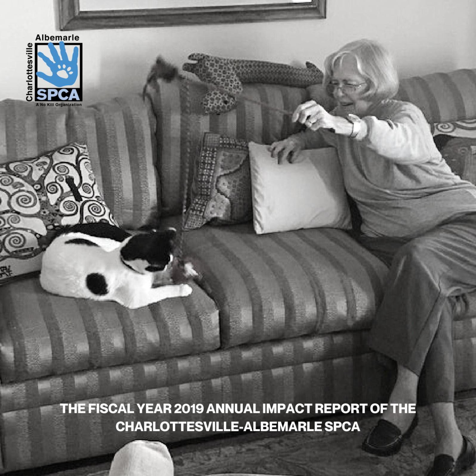 Cover of the 2019 Annual Report, featuring a woman sitting on a couch playing with a cat