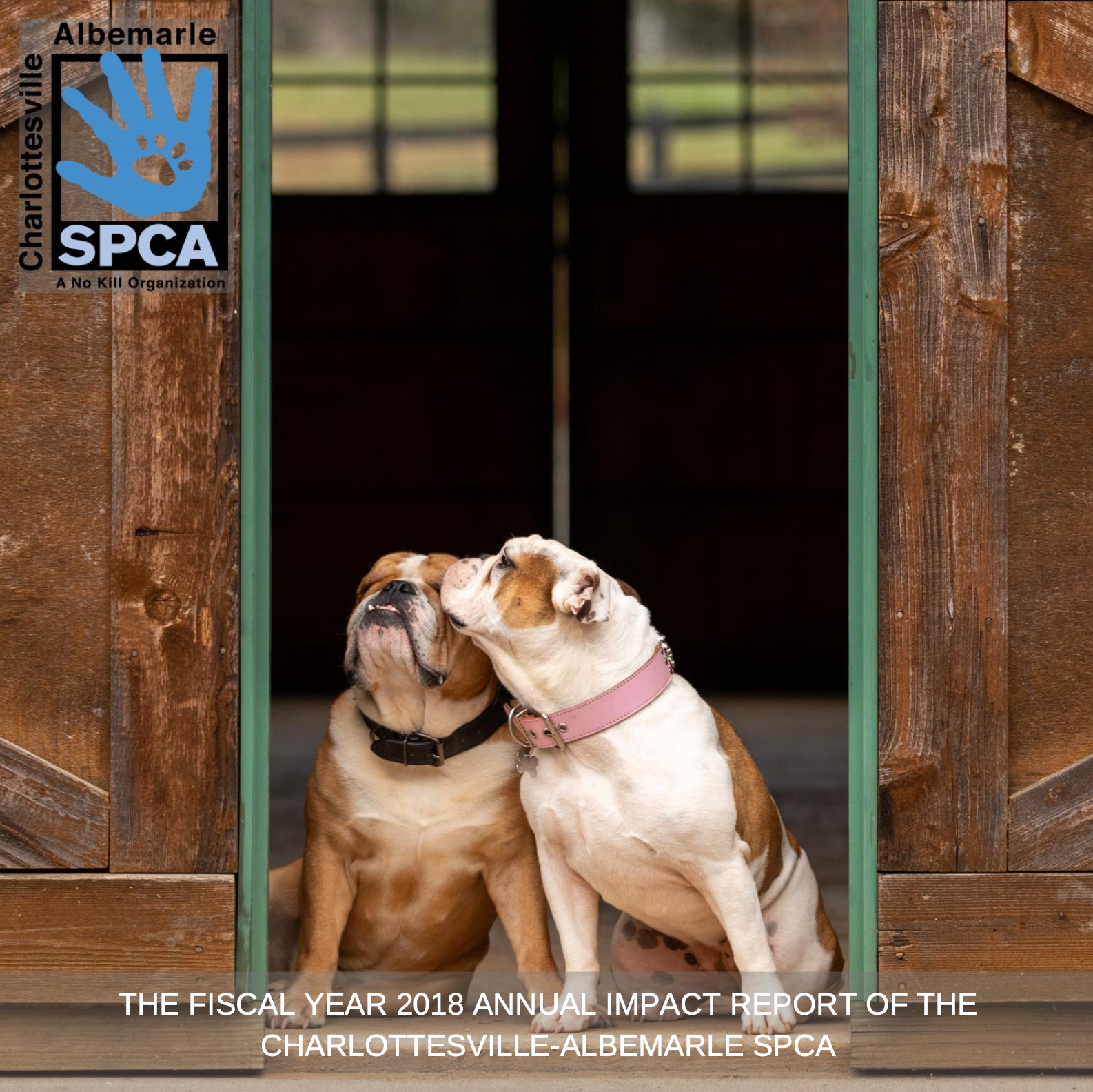Cover of the 2018 Annual Report, featuring two english bulldogs