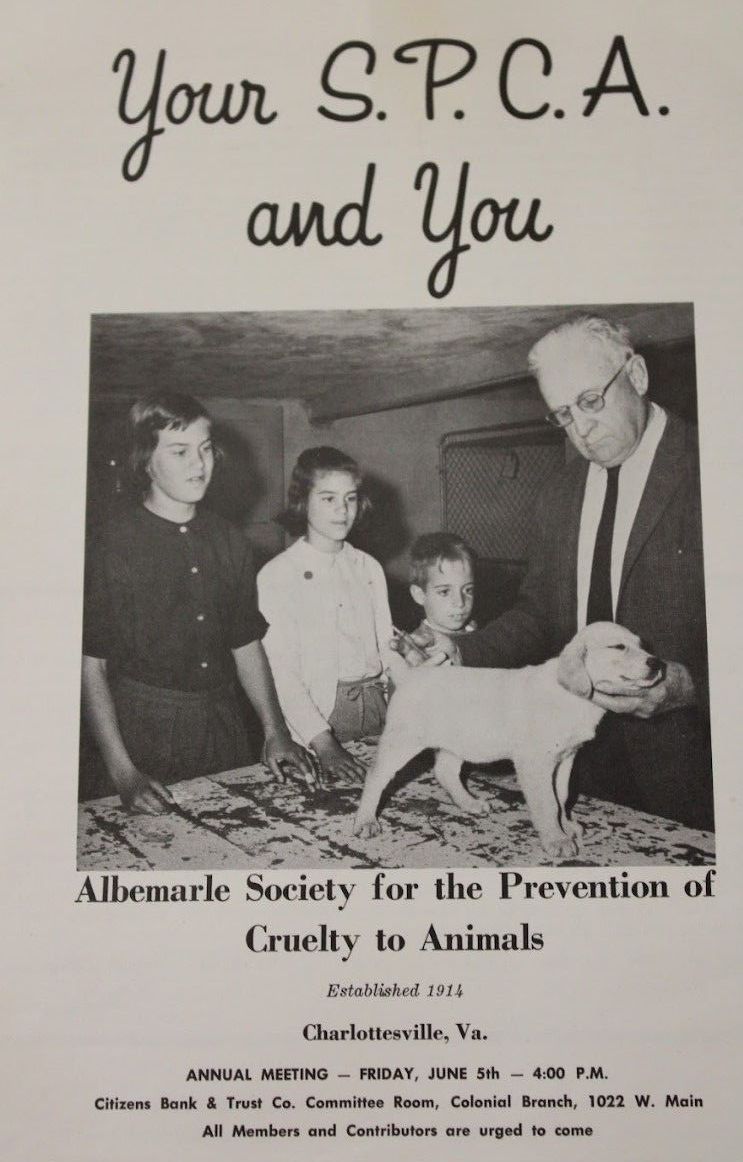 a man examines a puppy while three young women observe