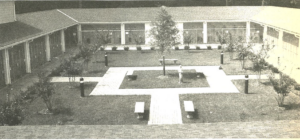 old picture of SPCA courtyard