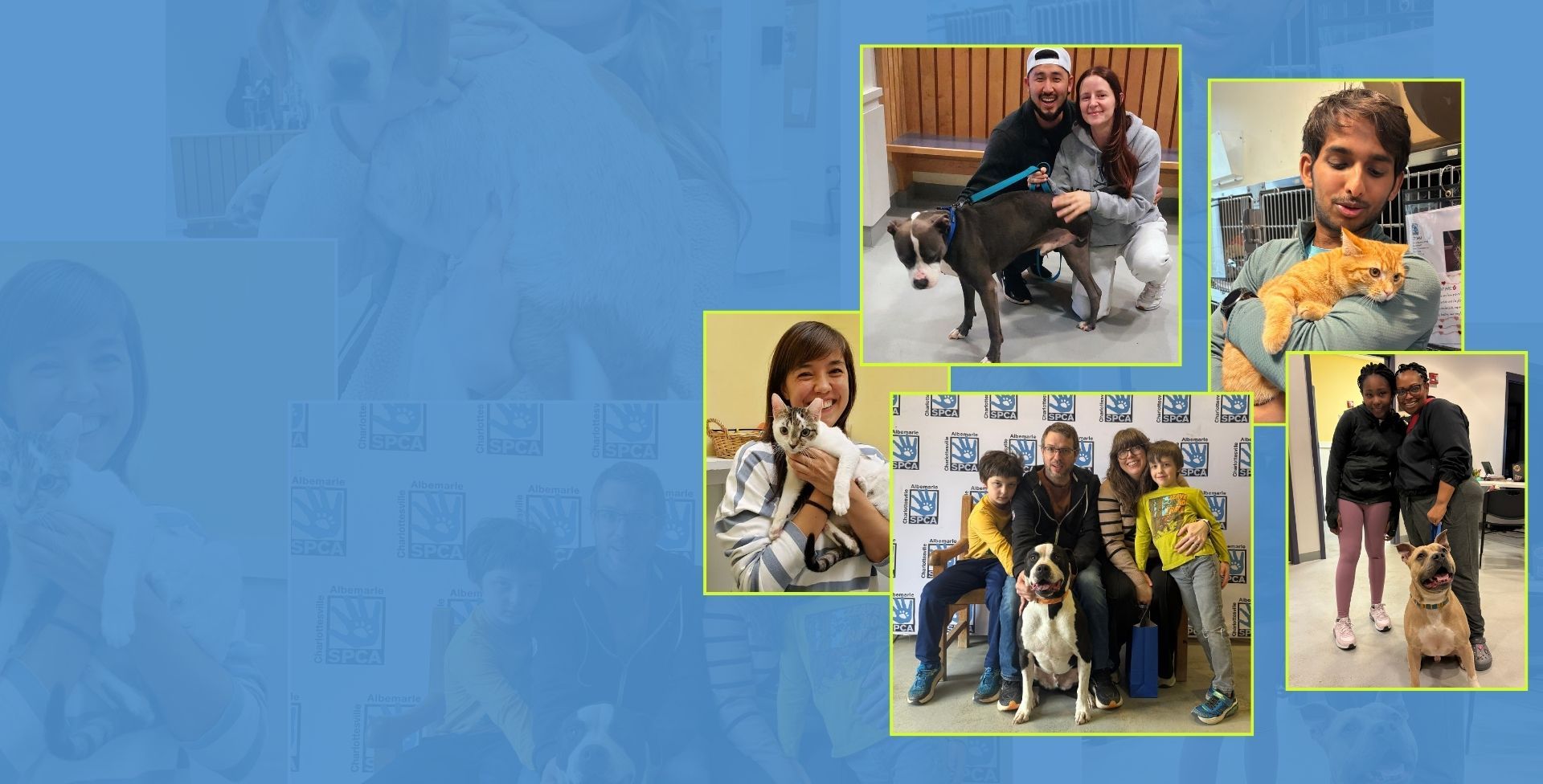 collage of adoption photos, people posing with their new pets, cats and dogs. 