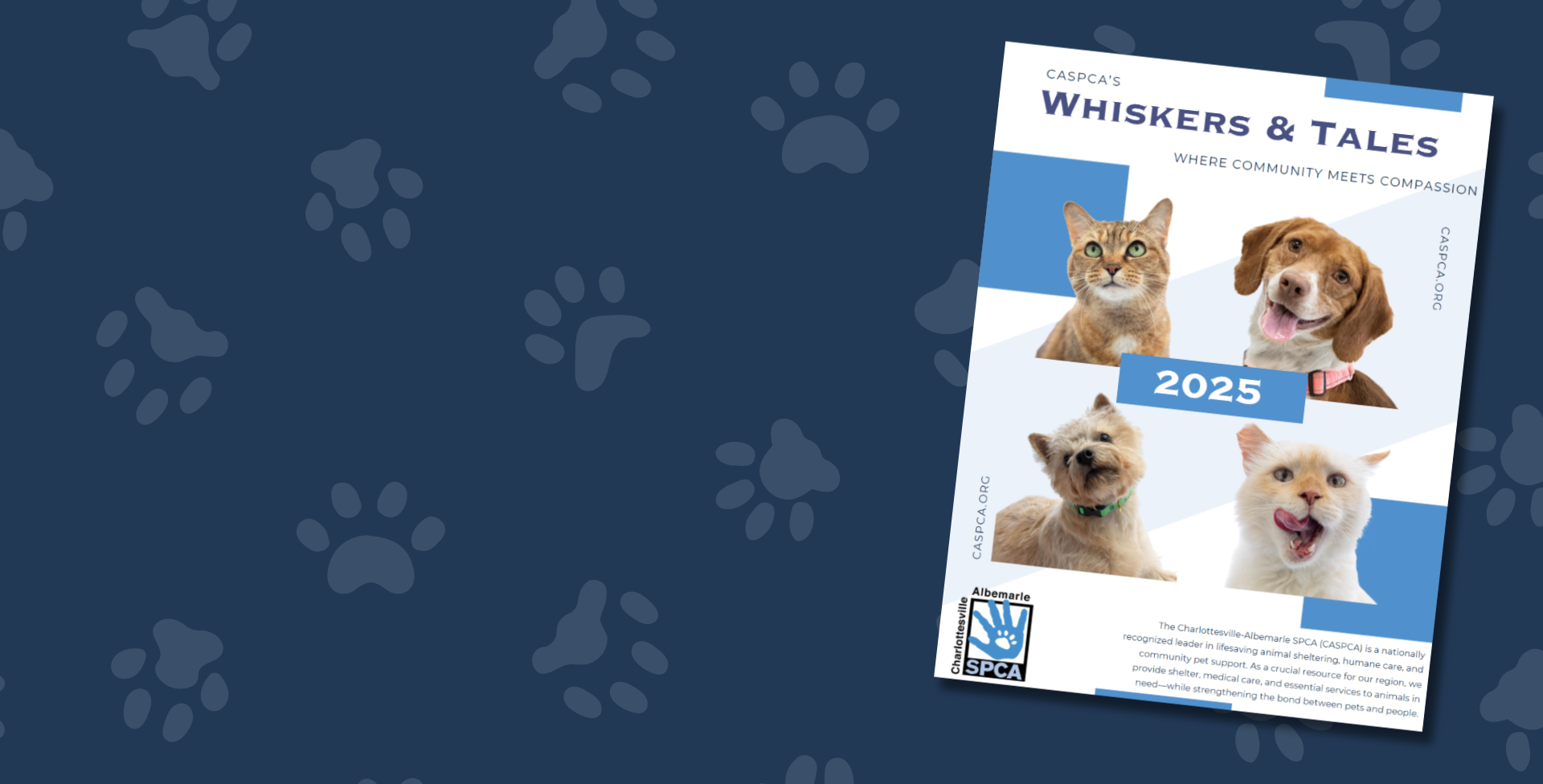 Whiskers & Tales