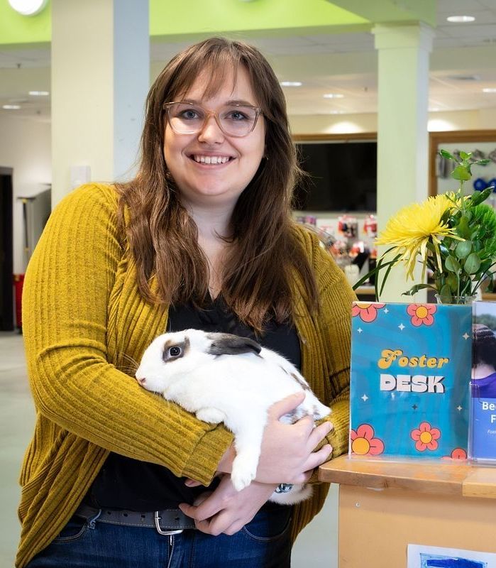 A foster care coordinator holds a rabbit