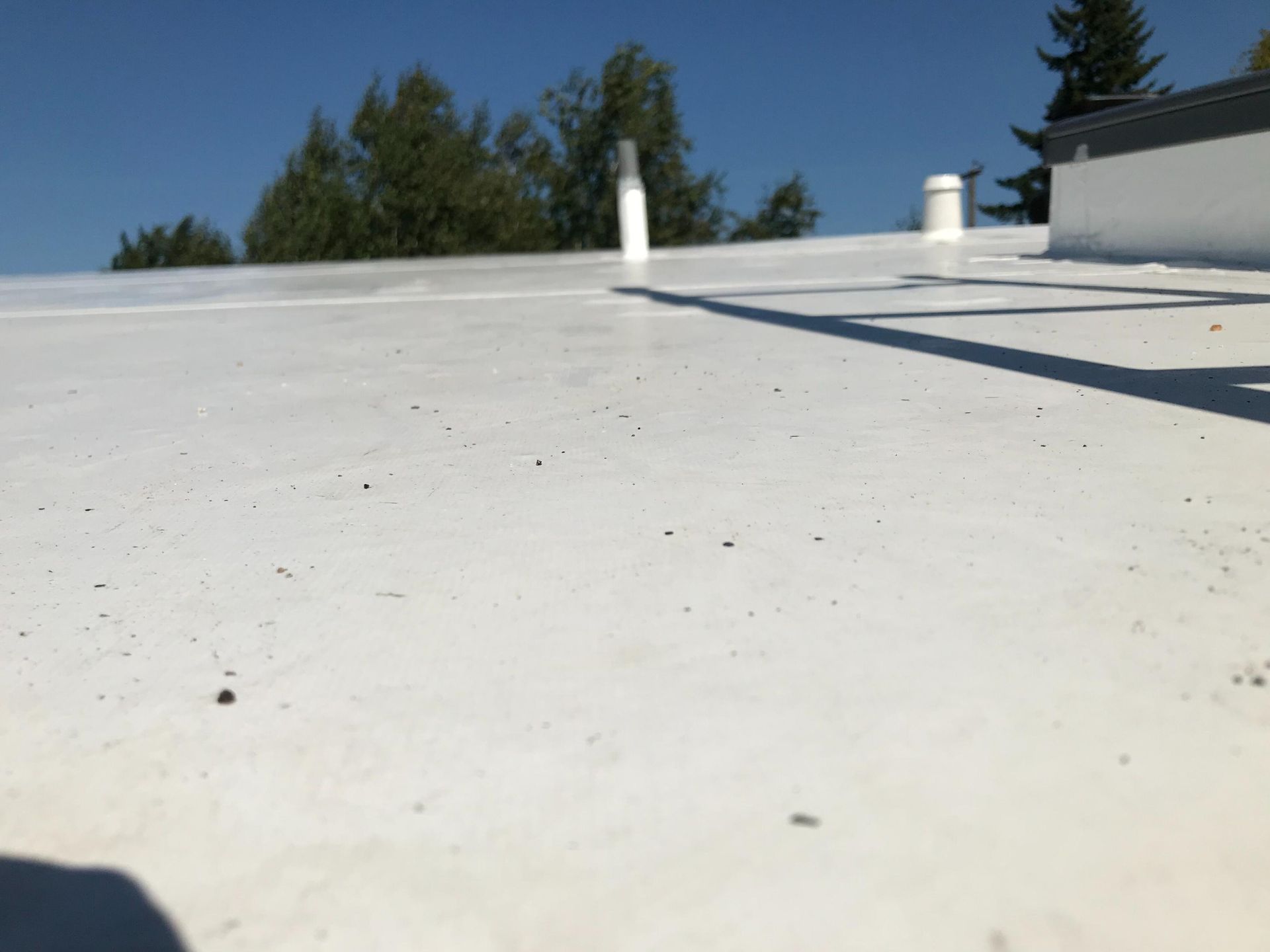 White roof with vents and a ladder shadow against a blue sky, trees in the background.