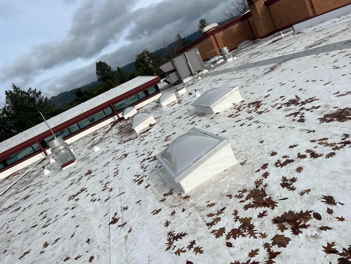 White roof with skylights, speckled with leaves, against a cloudy sky, near a building.