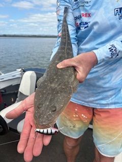Angler holding a flathead fish caught with a lure on a boat, against a water backdrop.