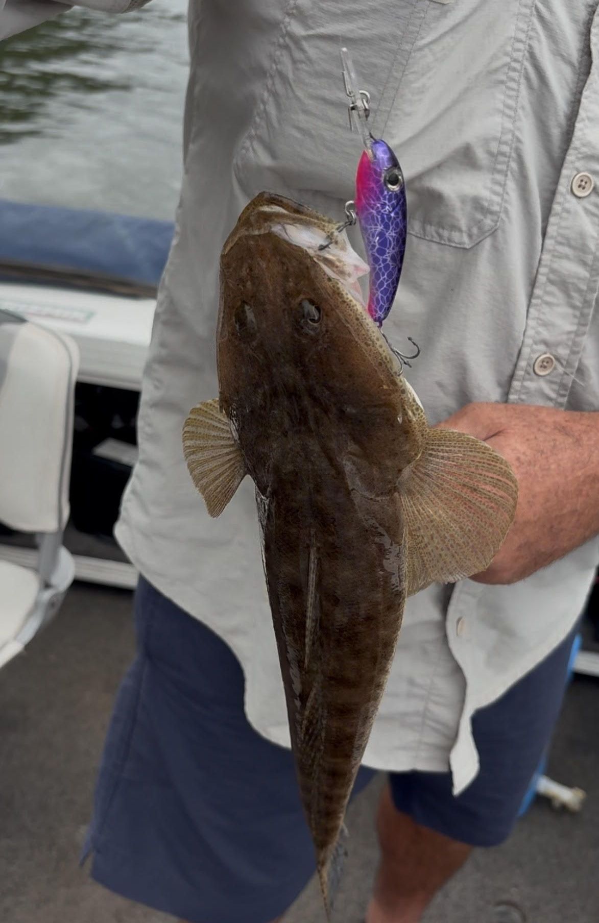 Man holding a flathead fish caught with a purple and pink fishing lure.