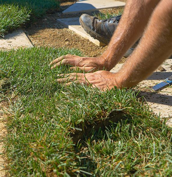 A man is laying a roll of artificial grass on the ground.