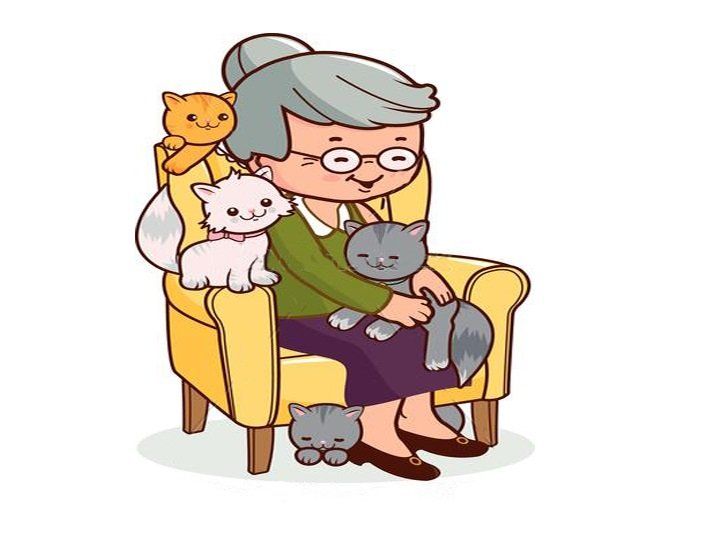 enjoyable place for your cats