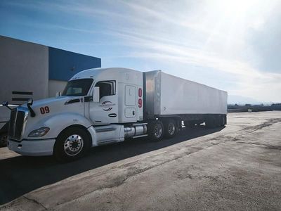 TRANSPORTES ALAMO EXPRESS