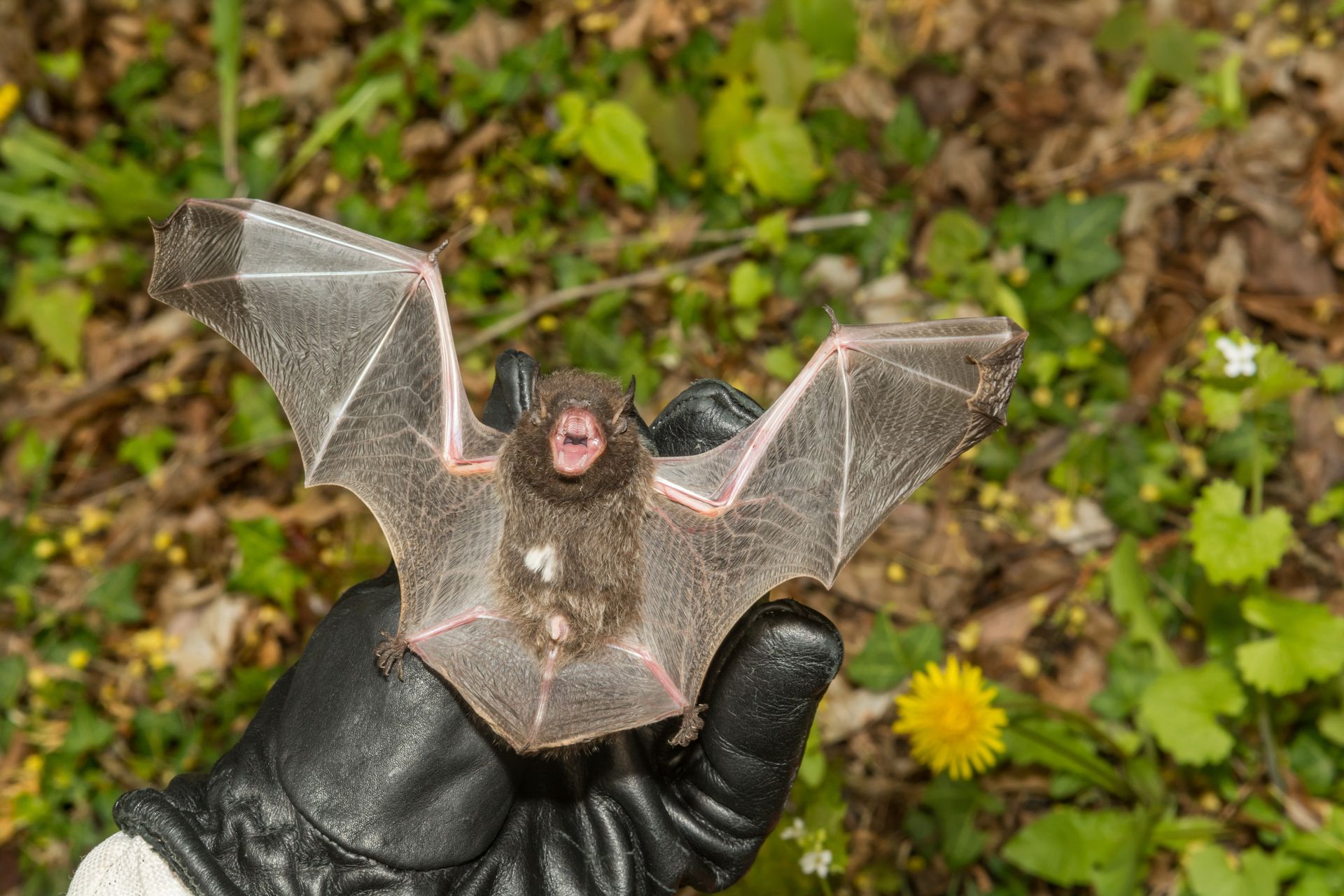 A person is holding a bat in their hand.