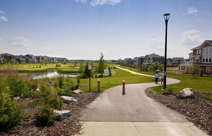 A couple of people are walking down a path in a park.