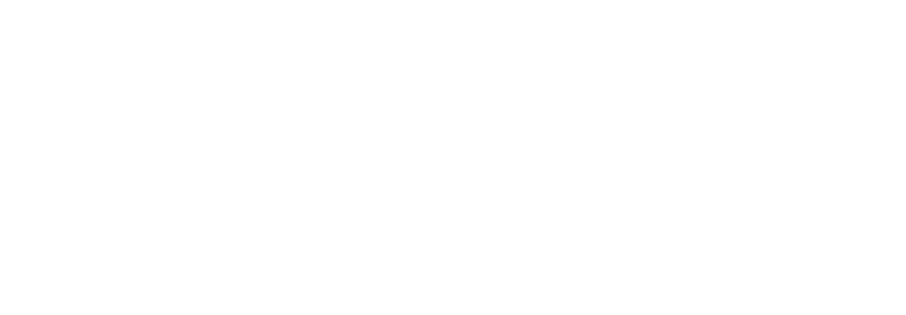 LOGO DOMUS NOVA