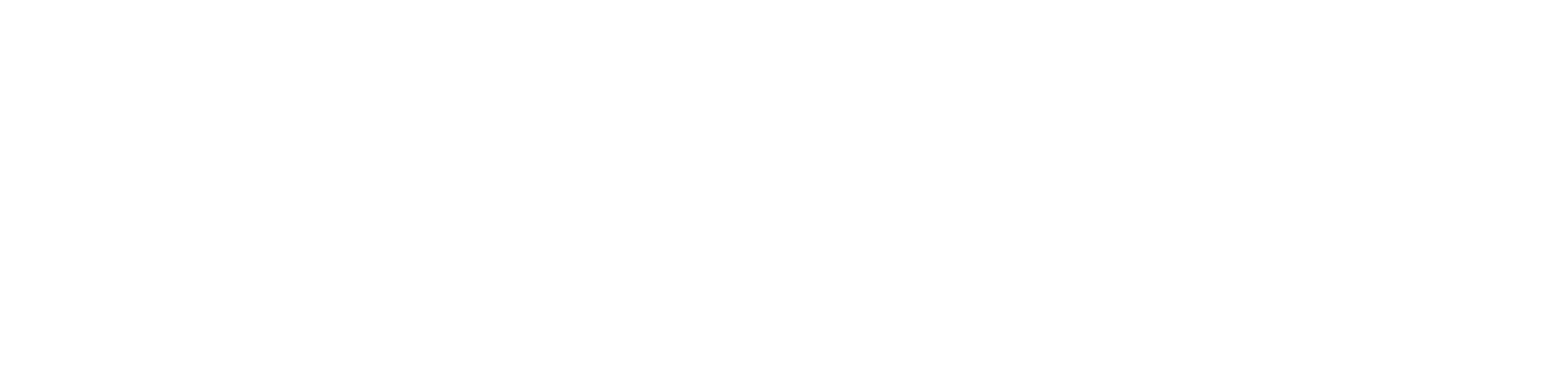 logo ZonMw